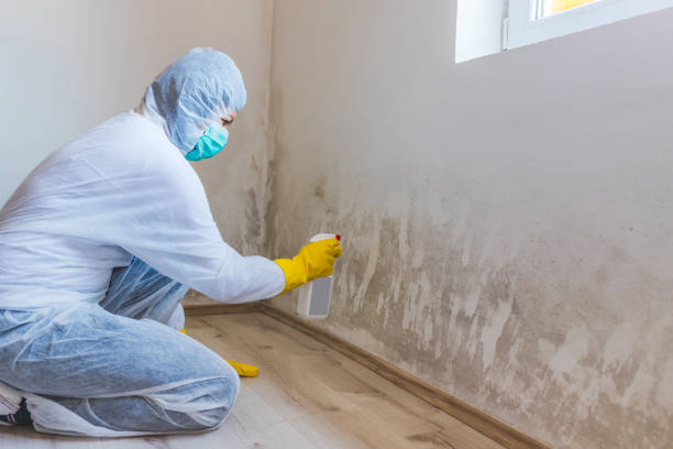 Commercial Mold Remediation assessment for commercial property in Charlevoix